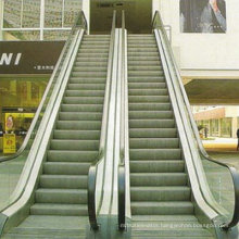 Sicher Gre20 Nice Quality Escalator